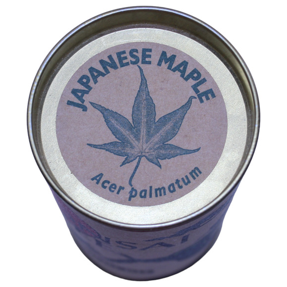 The Jonsteen Company Japanese Maple Acer Palmatum Bonsai Tree Growing Kit - Picture 4 of 9